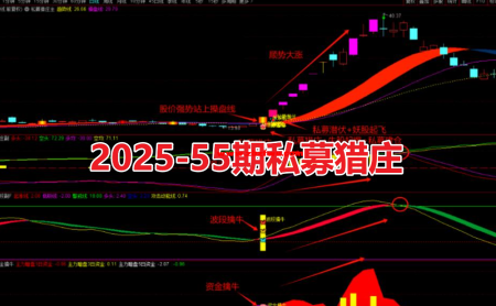 【众筹指标】2025-55期私募猎庄主副选股古波段擒牛迎主升 潜伏擒牛妖手机电脑通用 无