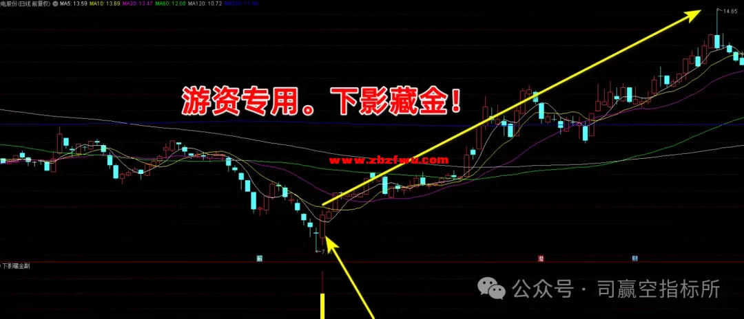 640 (3).webp