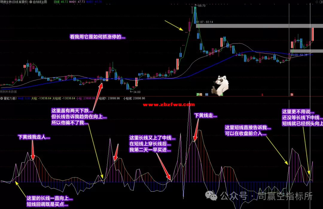 640 (13).webp