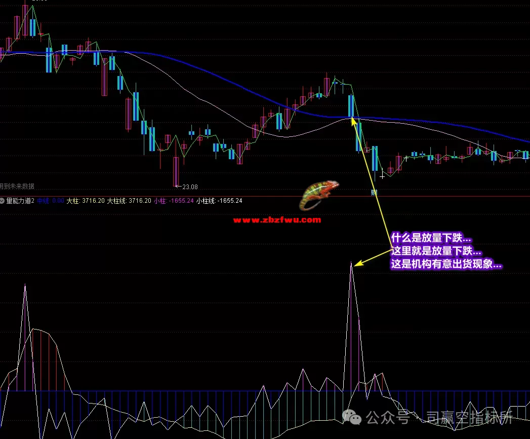 640 (9).webp