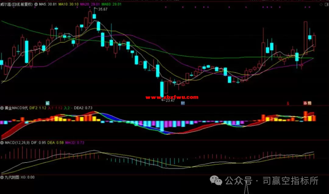 640 (4).webp