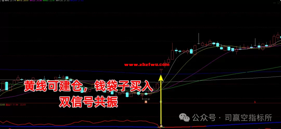 640 (3).webp
